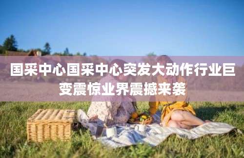 国采中心国采中心突发大动作行业巨变震惊业界震撼来袭