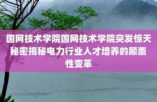 国网技术学院国网技术学院突发惊天秘密揭秘电力行业人才培养的颠覆性变革