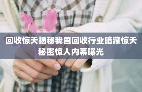 回收惊天揭秘我国回收行业暗藏惊天秘密惊人内幕曝光