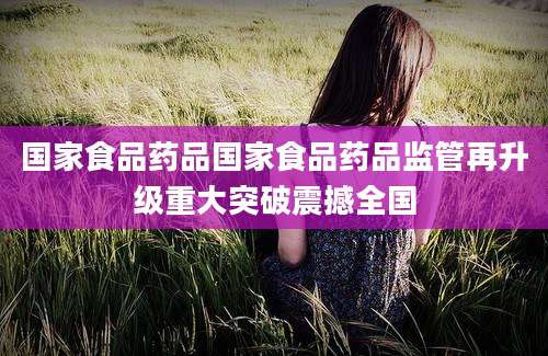 国家食品药品国家食品药品监管再升级重大突破震撼全国