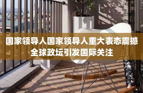 国家领导人国家领导人重大表态震撼全球政坛引发国际关注