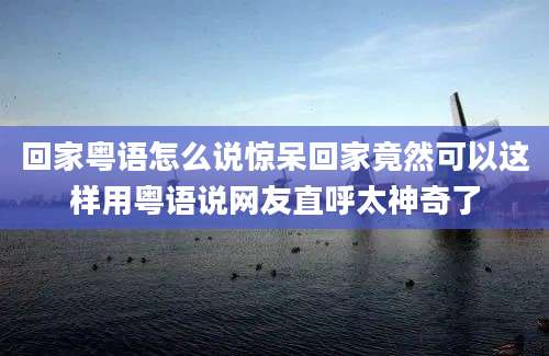 回家粤语怎么说惊呆回家竟然可以这样用粤语说网友直呼太神奇了