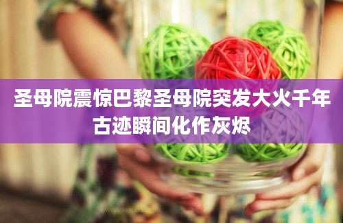 圣母院震惊巴黎圣母院突发大火千年古迹瞬间化作灰烬