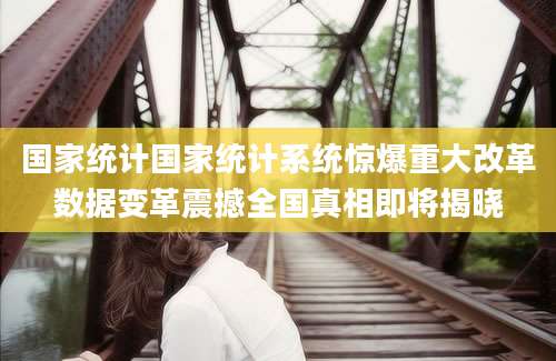 国家统计国家统计系统惊爆重大改革数据变革震撼全国真相即将揭晓