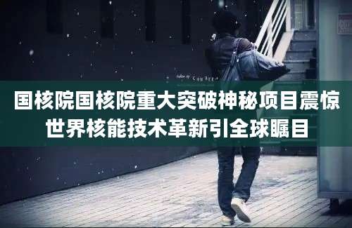 国核院国核院重大突破神秘项目震惊世界核能技术革新引全球瞩目