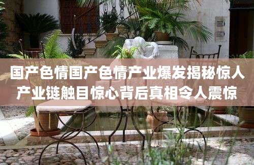国产色情国产色情产业爆发揭秘惊人产业链触目惊心背后真相令人震惊