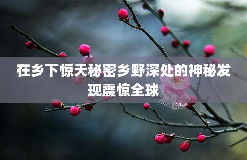 在乡下惊天秘密乡野深处的神秘发现震惊全球