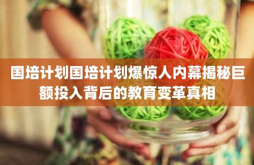 国培计划国培计划爆惊人内幕揭秘巨额投入背后的教育变革真相