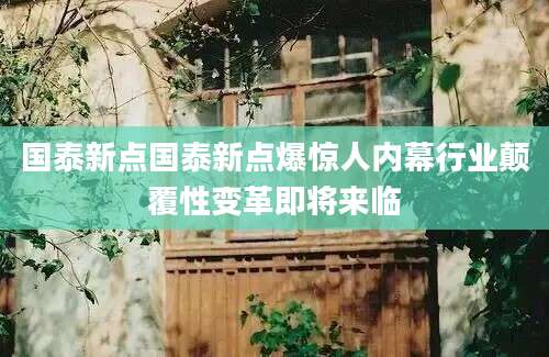 国泰新点国泰新点爆惊人内幕行业颠覆性变革即将来临