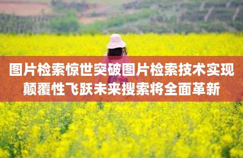 图片检索惊世突破图片检索技术实现颠覆性飞跃未来搜索将全面革新
