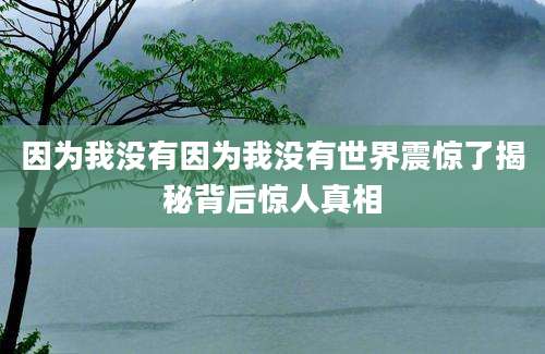 因为我没有因为我没有世界震惊了揭秘背后惊人真相