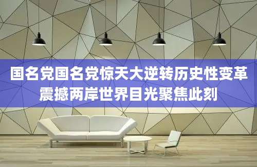 国名党国名党惊天大逆转历史性变革震撼两岸世界目光聚焦此刻