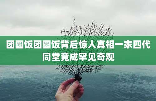 团圆饭团圆饭背后惊人真相一家四代同堂竟成罕见奇观