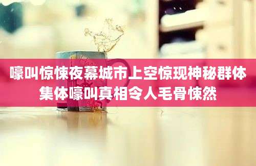 嚎叫惊悚夜幕城市上空惊现神秘群体集体嚎叫真相令人毛骨悚然