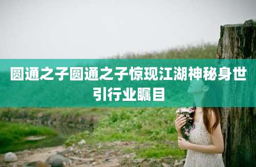 圆通之子圆通之子惊现江湖神秘身世引行业瞩目