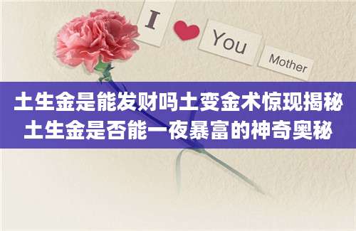 土生金是能发财吗土变金术惊现揭秘土生金是否能一夜暴富的神奇奥秘