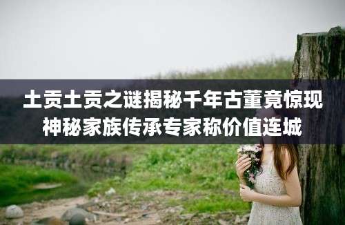 土贡土贡之谜揭秘千年古董竟惊现神秘家族传承专家称价值连城