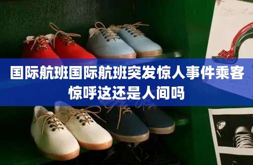 国际航班国际航班突发惊人事件乘客惊呼这还是人间吗