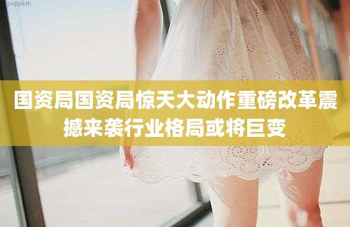 国资局国资局惊天大动作重磅改革震撼来袭行业格局或将巨变