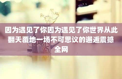 因为遇见了你因为遇见了你世界从此翻天覆地一场不可思议的邂逅震撼全网