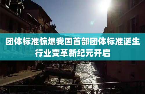 团体标准惊爆我国首部团体标准诞生行业变革新纪元开启