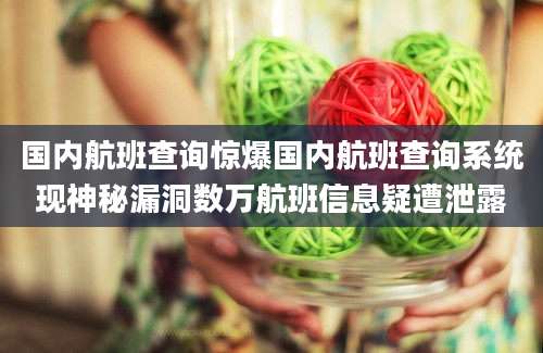 国内航班查询惊爆国内航班查询系统现神秘漏洞数万航班信息疑遭泄露