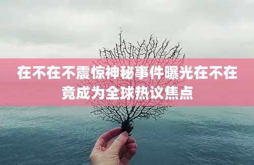 在不在不震惊神秘事件曝光在不在竟成为全球热议焦点
