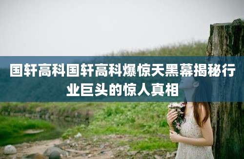 国轩高科国轩高科爆惊天黑幕揭秘行业巨头的惊人真相