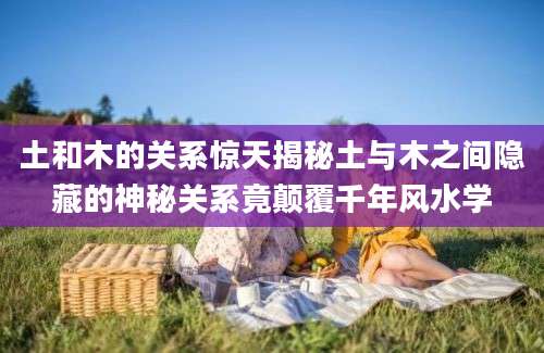 土和木的关系惊天揭秘土与木之间隐藏的神秘关系竟颠覆千年风水学