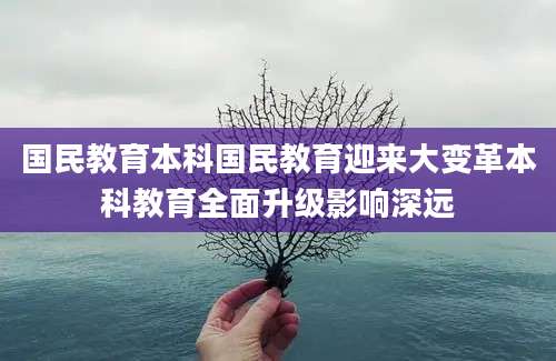 国民教育本科国民教育迎来大变革本科教育全面升级影响深远