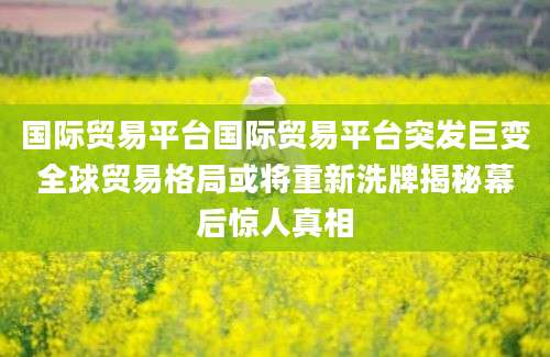 国际贸易平台国际贸易平台突发巨变全球贸易格局或将重新洗牌揭秘幕后惊人真相