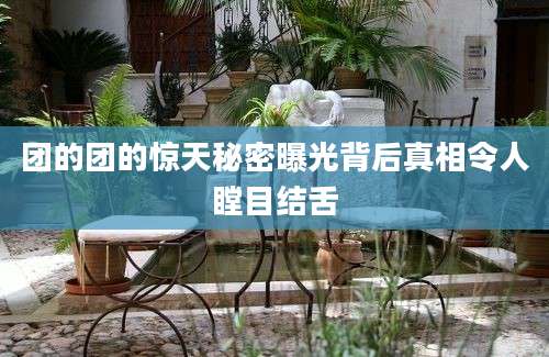 团的团的惊天秘密曝光背后真相令人瞠目结舌