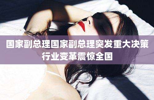 国家副总理国家副总理突发重大决策行业变革震惊全国