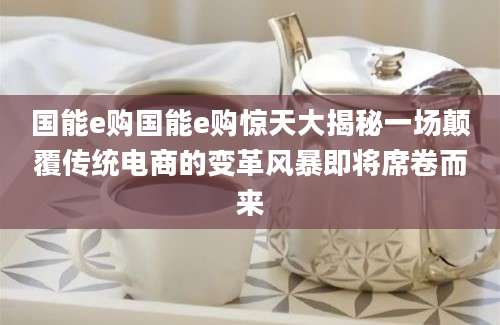 国能e购国能e购惊天大揭秘一场颠覆传统电商的变革风暴即将席卷而来