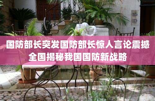 国防部长突发国防部长惊人言论震撼全国揭秘我国国防新战略
