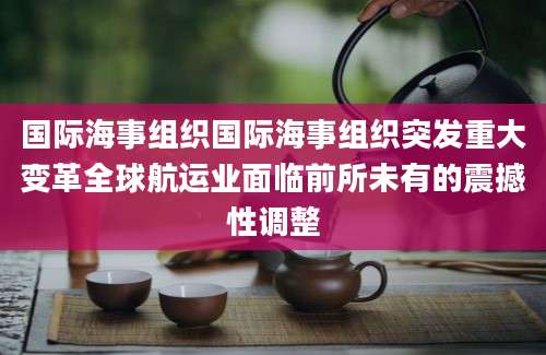 国际海事组织国际海事组织突发重大变革全球航运业面临前所未有的震撼性调整