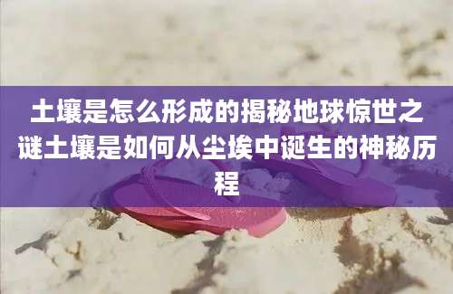 土壤是怎么形成的揭秘地球惊世之谜土壤是如何从尘埃中诞生的神秘历程