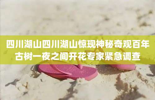 四川湖山四川湖山惊现神秘奇观百年古树一夜之间开花专家紧急调查