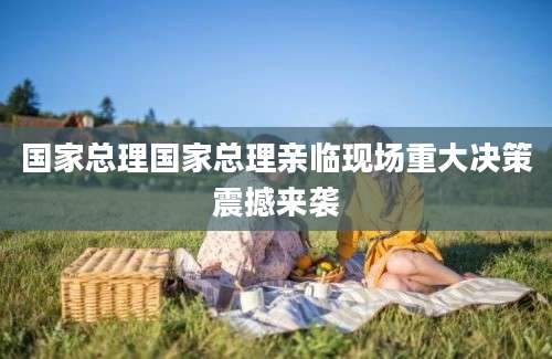 国家总理国家总理亲临现场重大决策震撼来袭