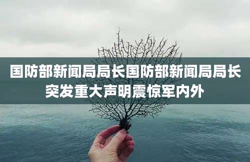 国防部新闻局局长国防部新闻局局长突发重大声明震惊军内外