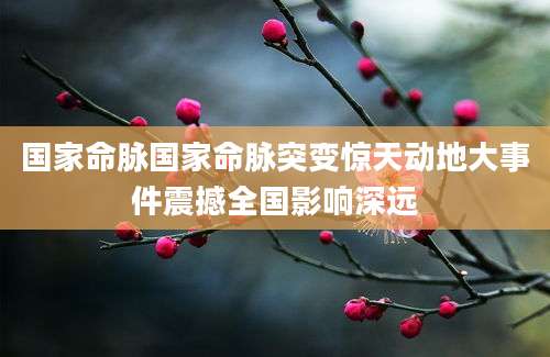 国家命脉国家命脉突变惊天动地大事件震撼全国影响深远