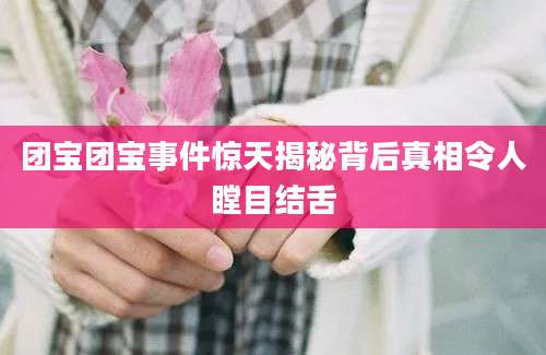 团宝团宝事件惊天揭秘背后真相令人瞠目结舌