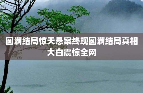 圆满结局惊天悬案终现圆满结局真相大白震惊全网