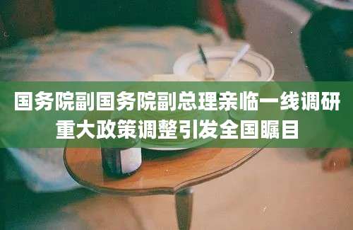 国务院副国务院副总理亲临一线调研重大政策调整引发全国瞩目