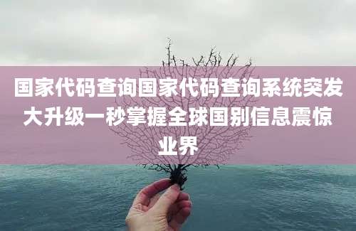国家代码查询国家代码查询系统突发大升级一秒掌握全球国别信息震惊业界