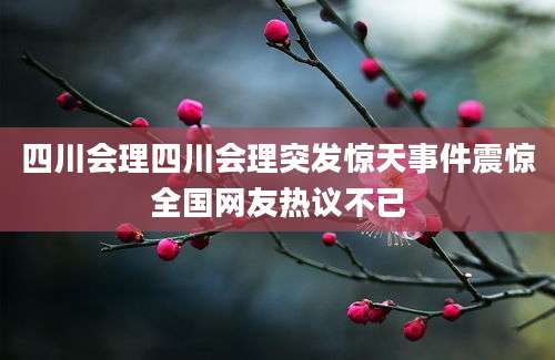 四川会理四川会理突发惊天事件震惊全国网友热议不已