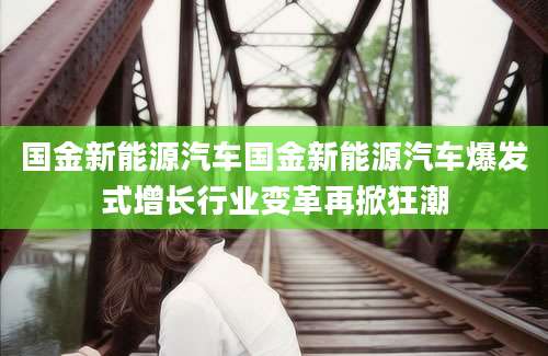 国金新能源汽车国金新能源汽车爆发式增长行业变革再掀狂潮