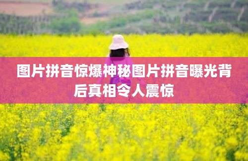 图片拼音惊爆神秘图片拼音曝光背后真相令人震惊