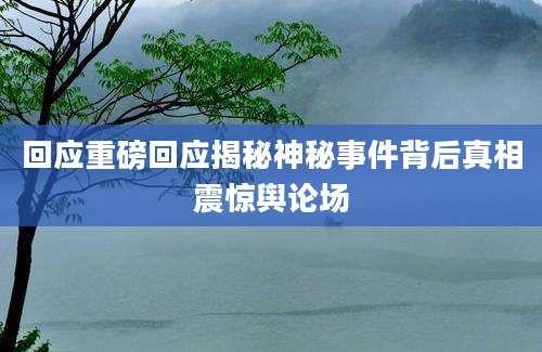 回应重磅回应揭秘神秘事件背后真相震惊舆论场