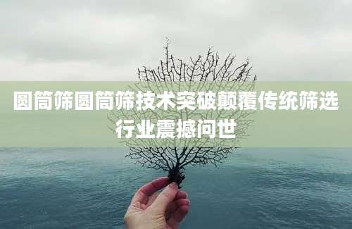 圆筒筛圆筒筛技术突破颠覆传统筛选行业震撼问世